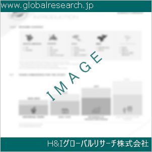グローバルリサーチ調査資料のイメージ